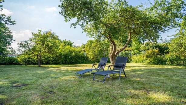 Ein Außenbereich mit Lounge-Möbeln und einem Tisch, umgeben von Bäumen und Rasen.