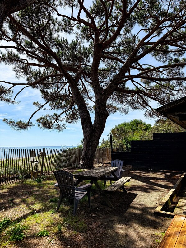 A large tree with a picnic table and chairs in a grassy area with a view of the sea.