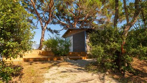 A small wooden cabin with a sloped roof, surrounded by trees and a sandy ground.