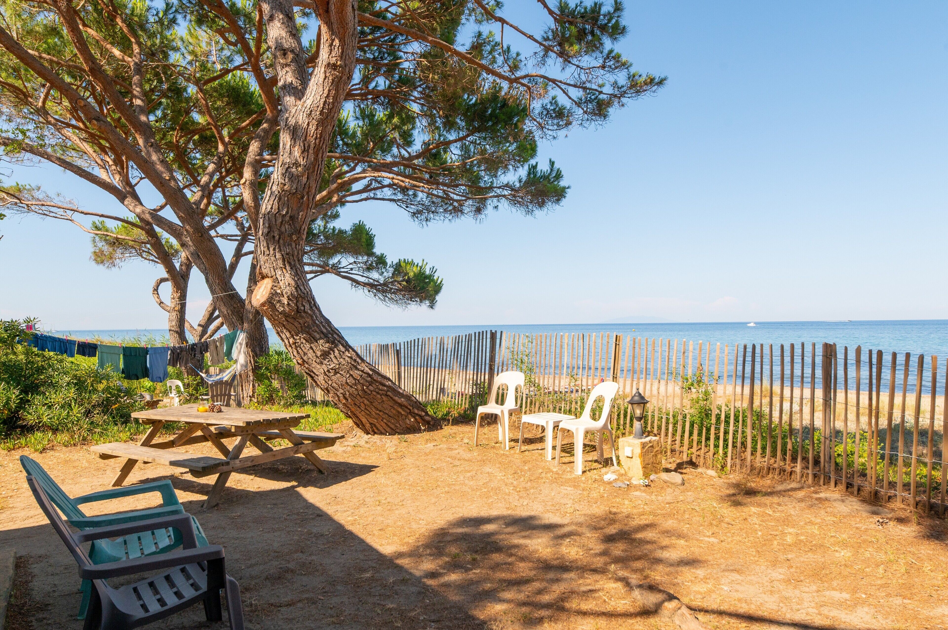 Un cadre idyllique au bord de la plage, avec une table de pique-nique, des chaises et un hamac sous un grand arbre.