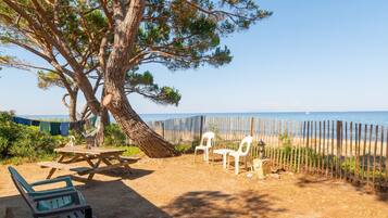 Un cadre idyllique au bord de la plage, avec une table de pique-nique, des chaises et un hamac sous un grand arbre.