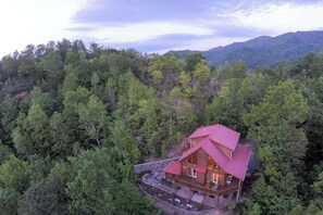 A cabin with a red roof, surrounded by dense forest, with a view of distant mountains. - Bear Bottoms Welcome (Whittier)