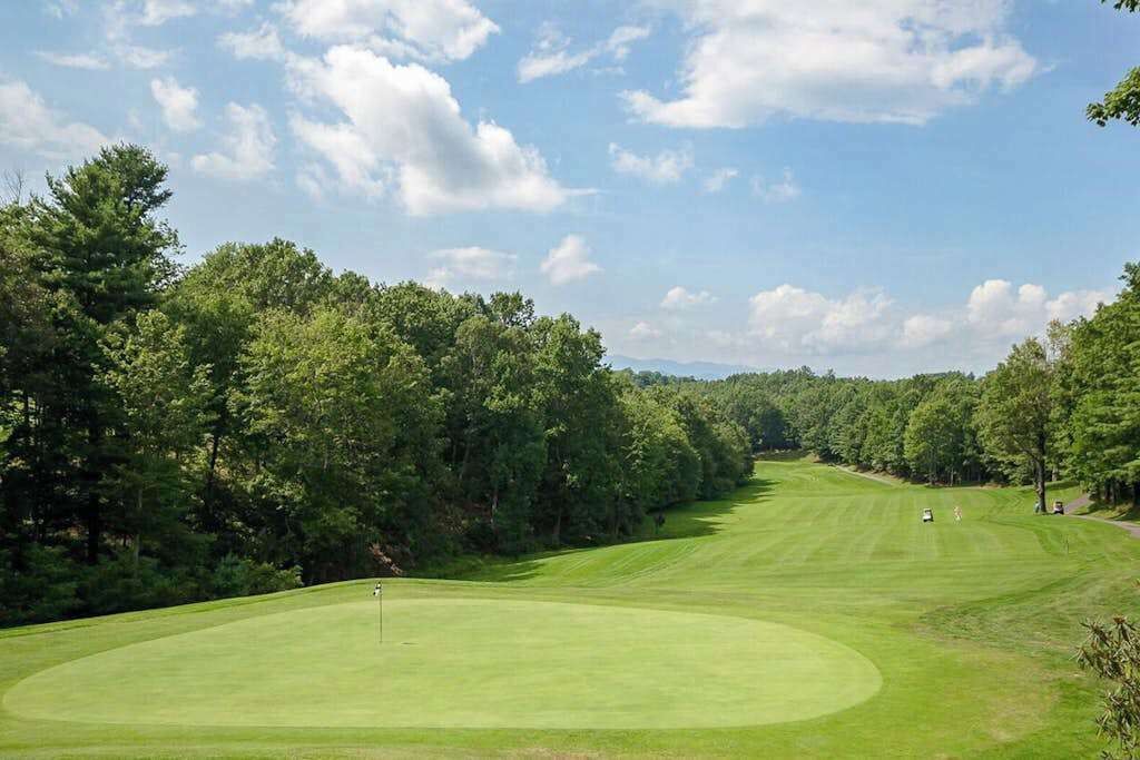 A golf course with a putting green, surrounded by dense trees and a clear sky.