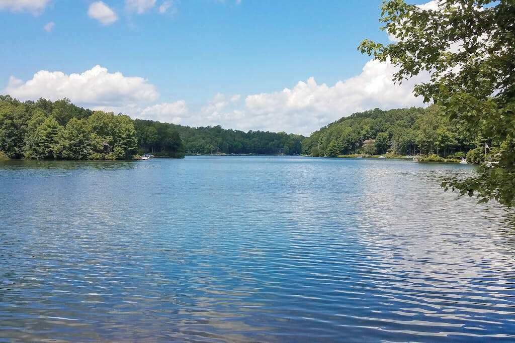 A calm lake surrounded by dense forest.