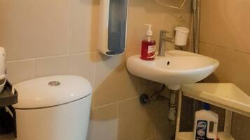 Shower, hair dryer, bidet, towels