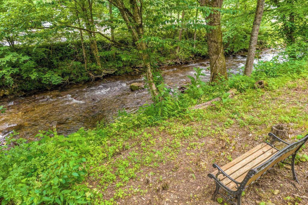 A bench by a stream in a forested area.