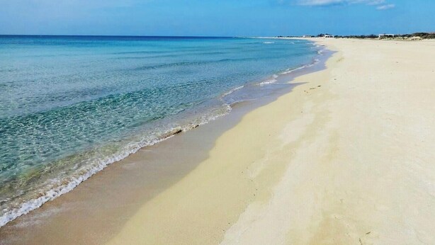 Uma praia com águas cristalinas, areal extenso e edifícios ao longe.