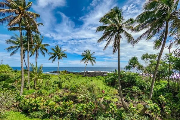 A tropical landscape with palm trees and a view of the ocean.