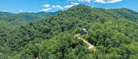 Une maison située sur une colline, entourée d’une forêt dense.