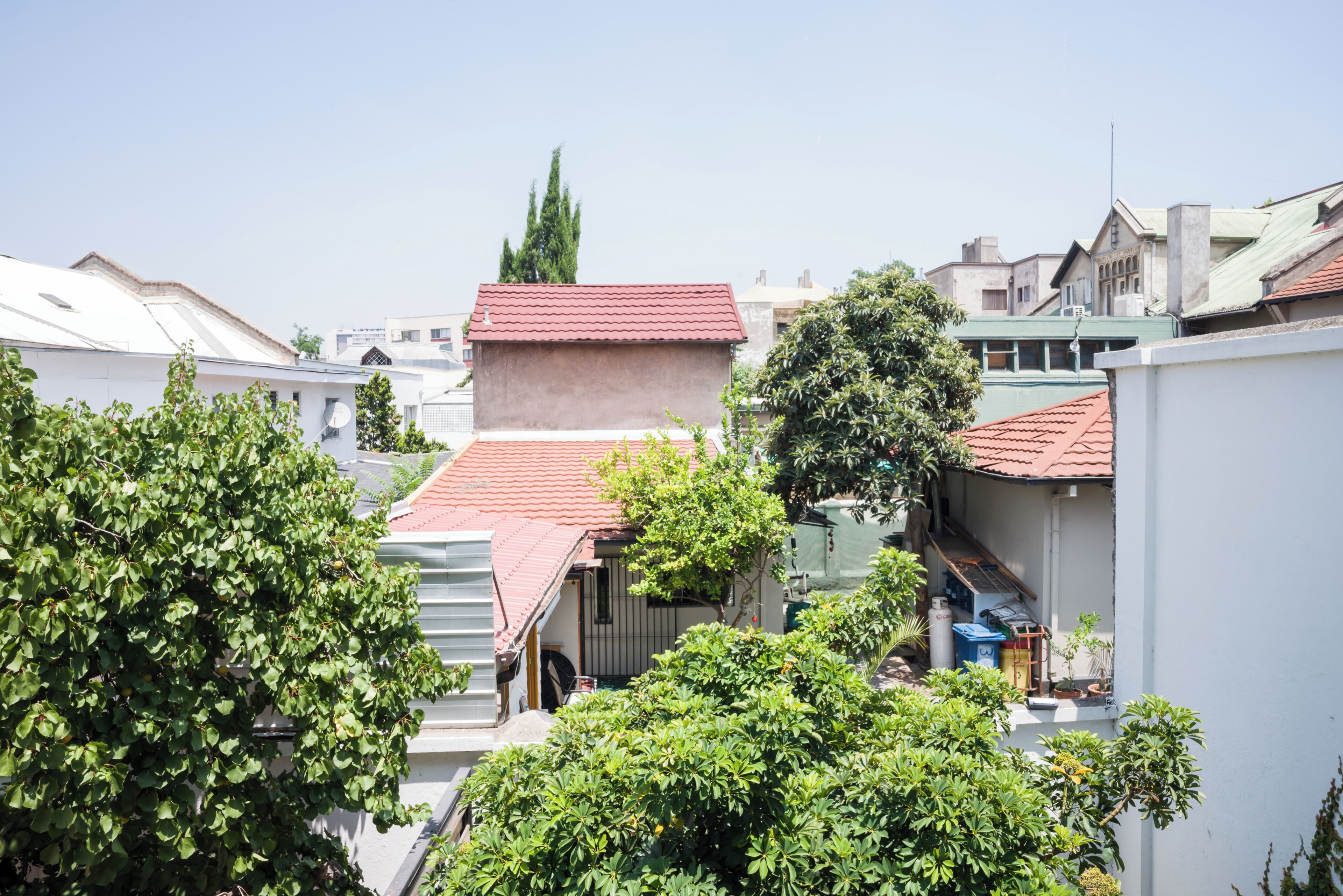 Un quartier résidentiel avec des maisons, des arbres et un ciel dégagé.