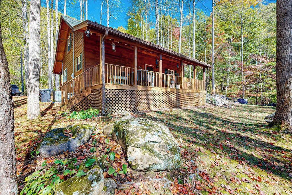 A cabin with a porch, surrounded by trees and a forest floor covered with leaves.