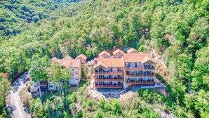 Un edifici de diversos pisos amb teulada plana, envoltat de bosc dens.