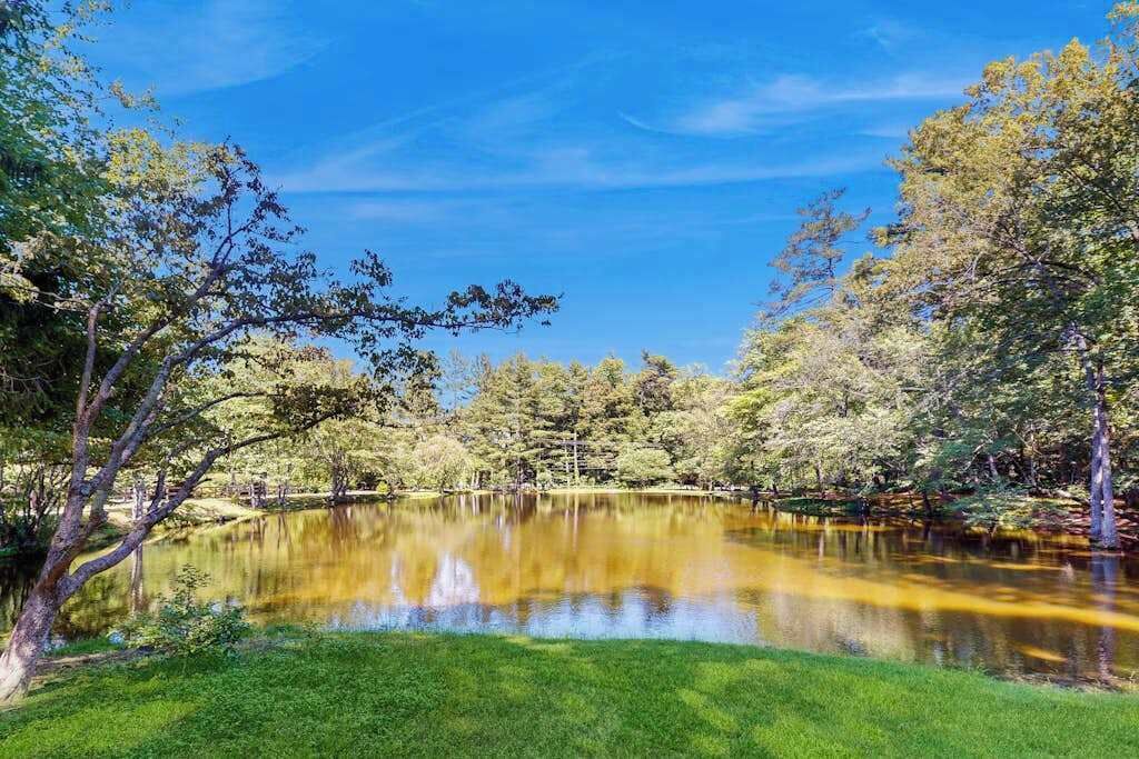 A serene lake surrounded by trees and a clear sky.