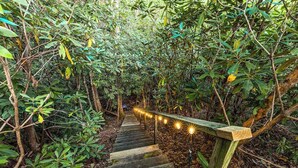 Uma escadaria de madeira cercada por vegetação densa, conduzindo a uma área mais elevada.