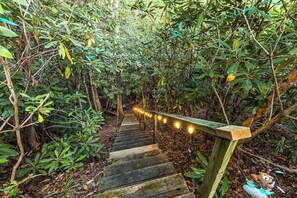 Eine Holztreppe, umgeben von dichtem Grün, die zu einer höheren Lage führt.