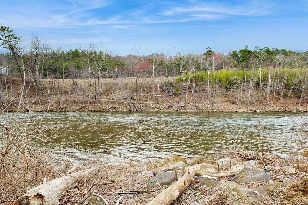 A river with surrounding trees and a clear sky.