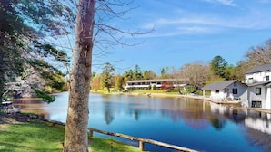 A serene lakeside view with a wooden dock, a large tree, and a building with a flat roof. - Dog-friendly lakefront condo with pool, canoes, & WiFi - in a perfect location (Flat Rock)