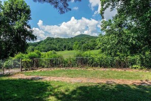 A fenced outdoor area with a grassy field, trees, and a hill in the background. - Well-appointed home with a gas grill and fire table (Candler)