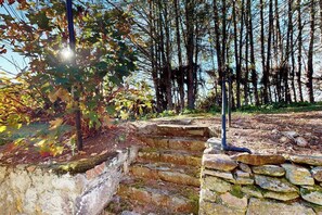 A stone staircase leading up to a stone wall, surrounded by trees and a clear sky. - Classic cottage at Burntshirt Vineyards with 2 decks - steps from tasting room (Hendersonville)