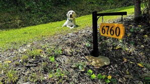 Een hond ligt op het gras naast een houten bord met het nummer 6760.
