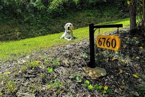 Ein Hund liegt auf der Wiese neben einem Holzschild mit der Nummer 6760.
