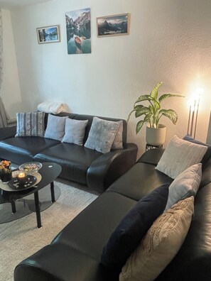 A modern living room with a black leather sofa, a small coffee table, and a potted plant.
