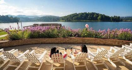 Breathtaking mountain home with amazing views, firepit, & central AC - 2 dogs OK