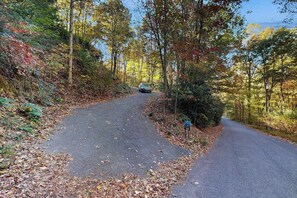 Ein asphaltierter Weg schlängelt sich durch ein bewaldetes Gebiet, im Hintergrund ist ein Auto zu sehen.