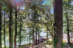 A forested area with a wooden staircase leading to a building.