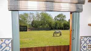 Hevonen on aidatulla ulkoalueella, jossa on puinen aita ja portti.