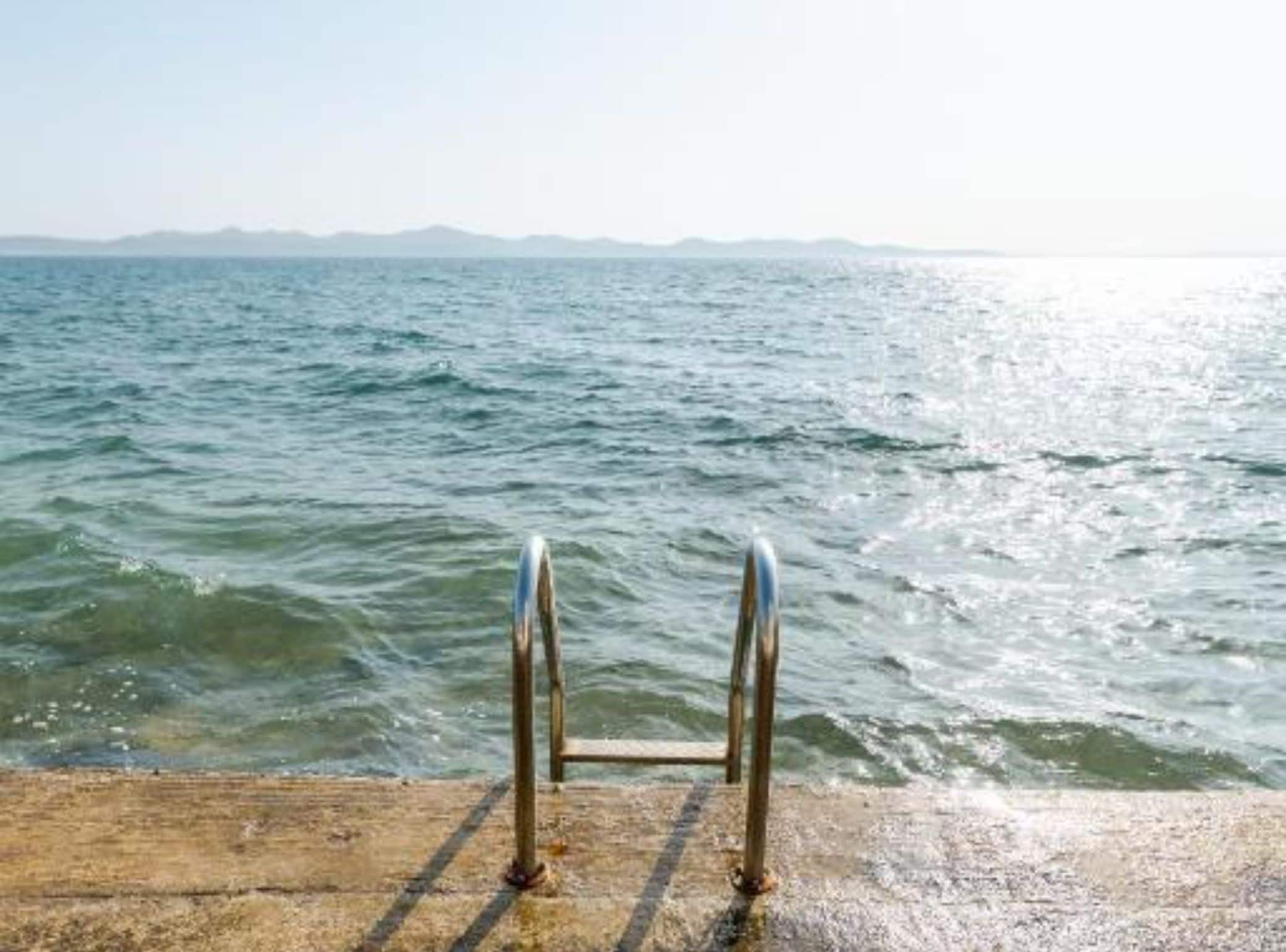 A metal ladder leading to a body of water with a distant landmass.