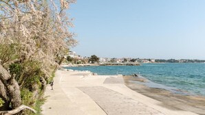 A coastal walkway with a concrete path, a tree-lined area, and a view of the sea and distant buildings.