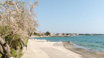A coastal walkway with a concrete path, a tree-lined area, and a view of the sea and distant buildings.