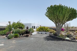 Un edificio bianco con un giardino adornato da cactus e piante fiorite.