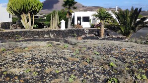 Un edificio blanco con un muro de piedra, rodeado de vegetación desértica y una montaña al fondo.