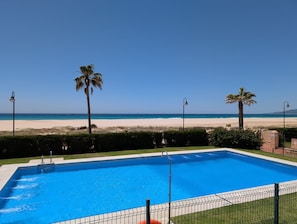 Ein Pool mit Blick auf Strand und Palmen.