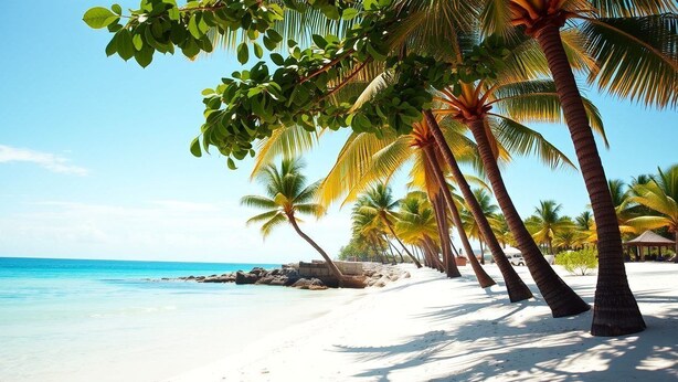 A beach with white sand, palm trees, and clear blue water. - LOS CORALES del Mar STUDIOS & SUITES SPA (Punta Cana)