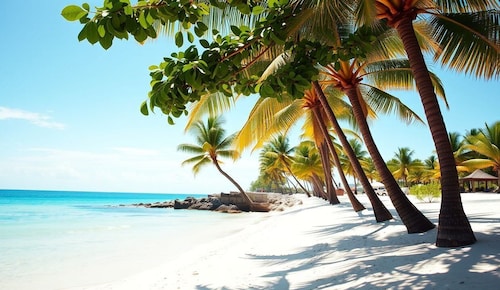 LOS CORALES del Mar STUDIOS & SUITES SPA