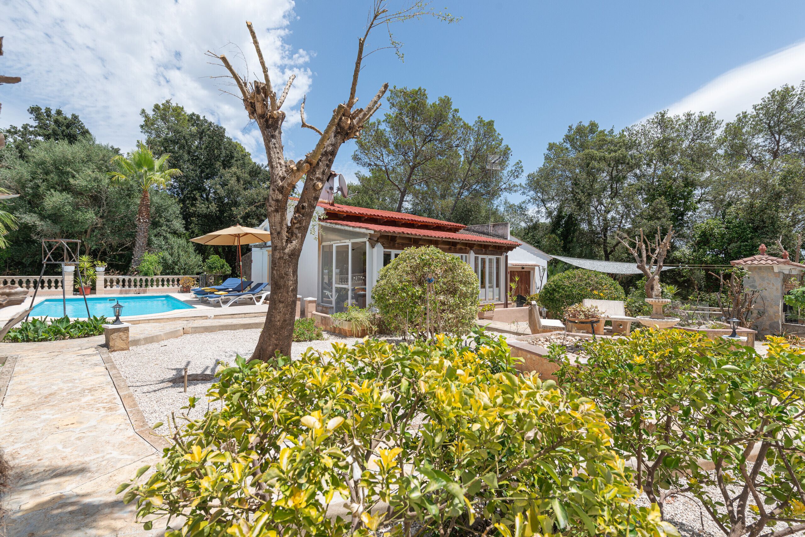 A pool, lounge chairs, a covered patio, and a house with a red roof.
