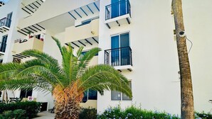 A multi-story building with balconies, a palm tree, and a gravel pathway. - Beautiful apartment with the best location in cabo san lucas 8 min from the beach (Cabo San Lucas)