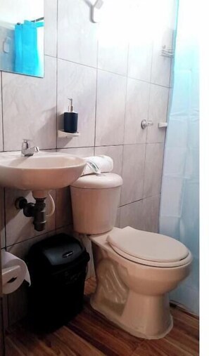 Bathroom - 2nd floor apartment a few steps from the main square  (Villa de Leyva)