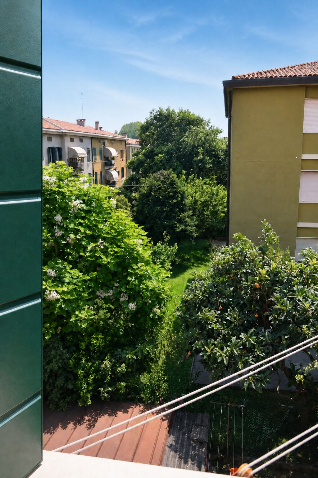 Un cortile con vegetazione lussureggiante, cielo sereno e edifici sullo sfondo.