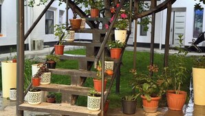 A wooden outdoor staircase with potted plants. - Usmoon Hotel (Tashkent)