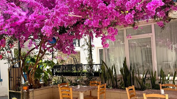 An outdoor patio with wooden chairs and a table, surrounded by vibrant pink bougainvillea flowers. - Kale Otel Bodrum (Bodrum)