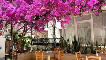 Jardín
