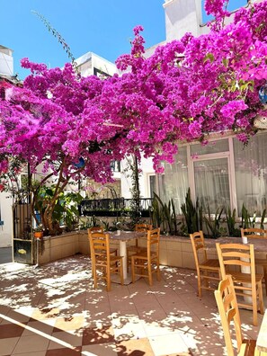 Garden - Kale Otel Bodrum (Bodrum)