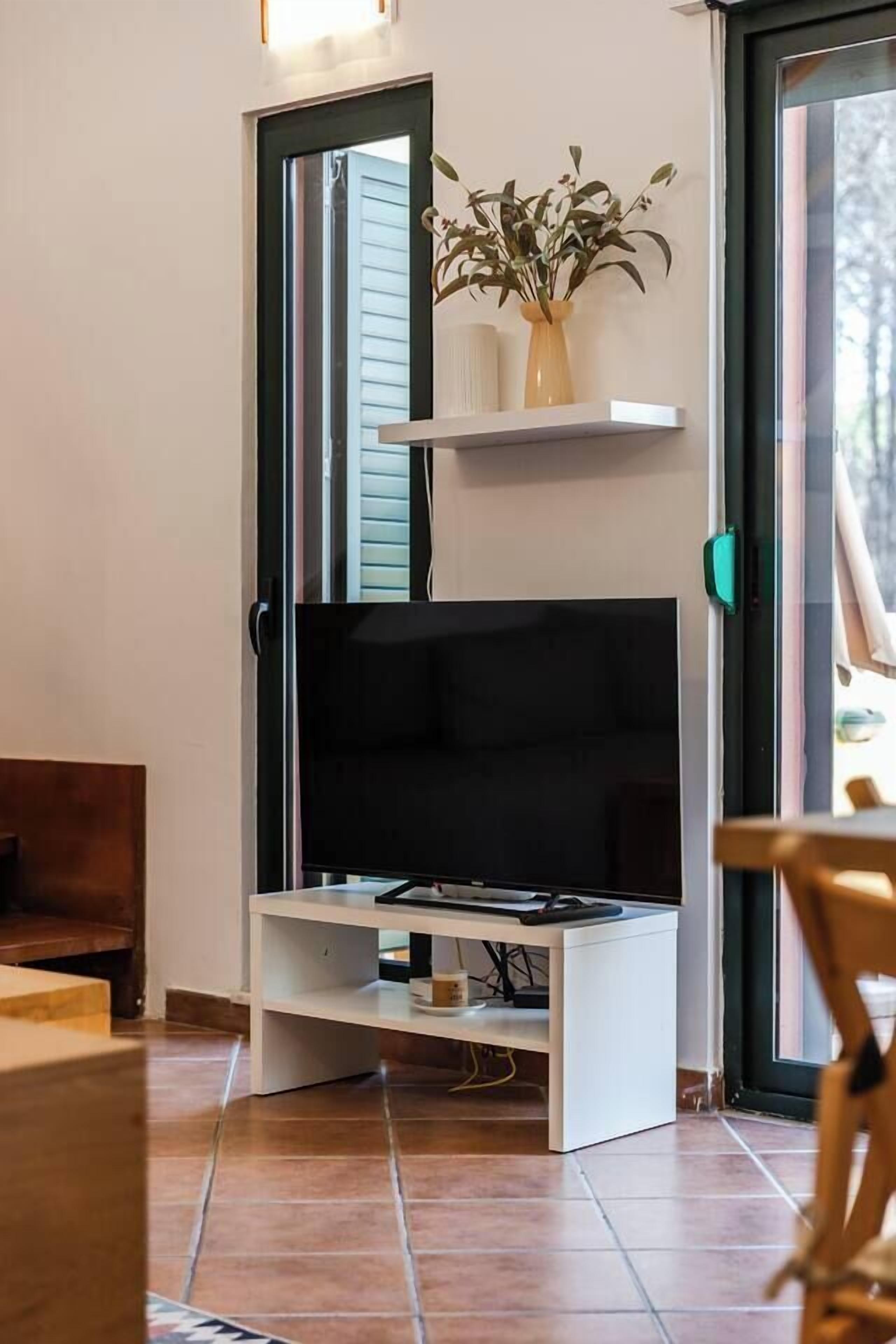 Fernseher