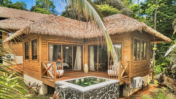 Una baita in legno con tetto di paglia, una piscina in pietra e un patio con mobili da esterno.