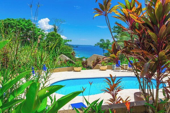 A pool with a view of the ocean, surrounded by tropical plants and lounge chairs.