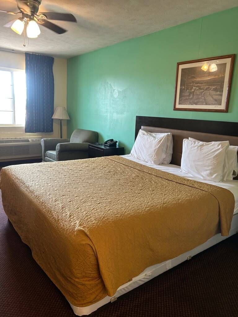 Desk, free WiFi, bed sheets